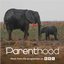 Go Steady (From BBC's Parenthood)