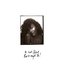 It Isn’t Perfect But It Might Be (Wurli Version / from “Bridget Jones: Mad About the Boy” Original Motion Picture Soundtrack) - Single