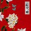 睨めっ娘 - Single