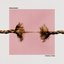 Thick & Thin [Explicit]
