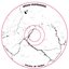 Aenigma sui Temporis