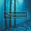 Summoning Of The Muse (A Tribute To Dead Can Dance)