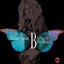 B In The Mix, The Remixes Vol. 2 (Japan Edition)