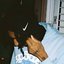 been havin