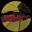 DYAD004