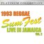 Reggae '93 Summer Hits 2