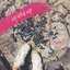 Mixed up - EP