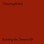 Burning My Dreams EP (Expanded)