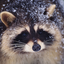 Avatar for vianox