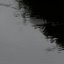 The Light Bends Inwards