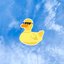 Yellow Duck Sweater