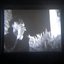 Ghost Glocks - single