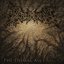 The Dismal Ascension