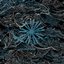 "Abyss"