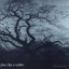 The Winter's Near