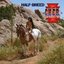 Half-Breed