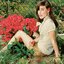 Mushaboom (Postal Service Remix) - Single