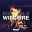 Wildfire