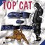 Catonine Tales