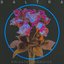 Private Paradise (Extended Mix) - Single