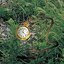 pocketwatch