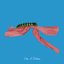 Like a Ribbon - EP