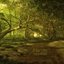 Forest Retreat