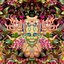Carnival of Peculiarities