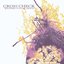 Wildfire / Full of Grace