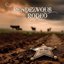 Rendezvous Rodeo (Live)
