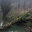 Creek
