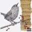Dawn Chorus (Extras)