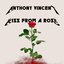 Kiss from a Rose (In the style of Metallica)