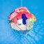 Adult Swim Singles Program 2013