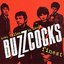 Ever Fallen in Love?: Buzzcocks Finest