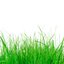 Green Lives