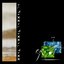 Biotic - Single