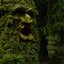 Under The Moss Vol.2