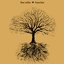 Branches