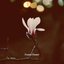 Frozen Flower