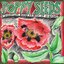 Poppy Seeds: An International Benefit for Mutual Aid in Gaza