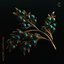 juniper june