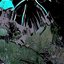 ａᄉ 0 з н ａe ш ь ༂ぼくもリンゴジュースඈ好きじゃない༲
