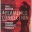 Flamenco Connection