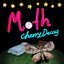 Moth