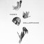 Cellophane