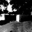 The Grassy Knoll