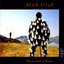 Delicate Sound of Thunder (Disc Two)