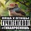 ЯЙЦА У ПТИЦЫ #тихаяроскошь