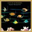 Original Musiquarium
